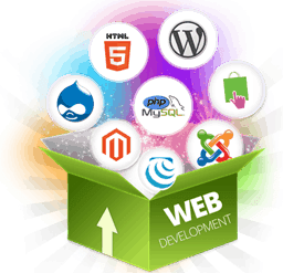 Data Wind Solutions Website Development